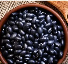 Porotos negros Salve la tierra 500 gr