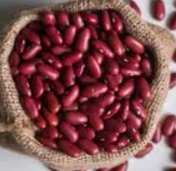 Porotos colorados orgánicos x 500 gr