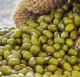 Porotos mung orgánicos X 250 gr