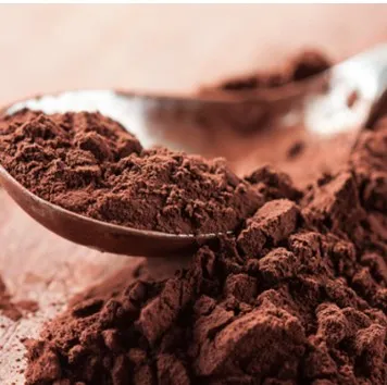 Cacao amargo x 100 gr