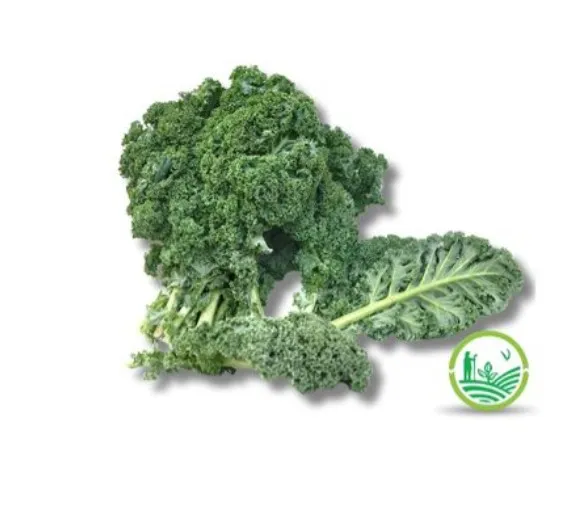 Kale agroecológico x paquete