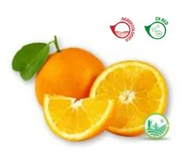Naranja jugo agroecológica x 1 K
