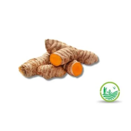 Cúrcuma fresca agroecológica x 150 gramos