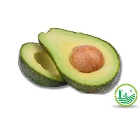 Palta Torres agroecológica x 1 K