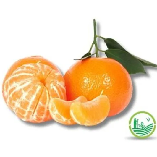 Mandarina Encore agroecológica x 1 k