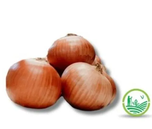 Cebolla dorada orgánica x 1 K