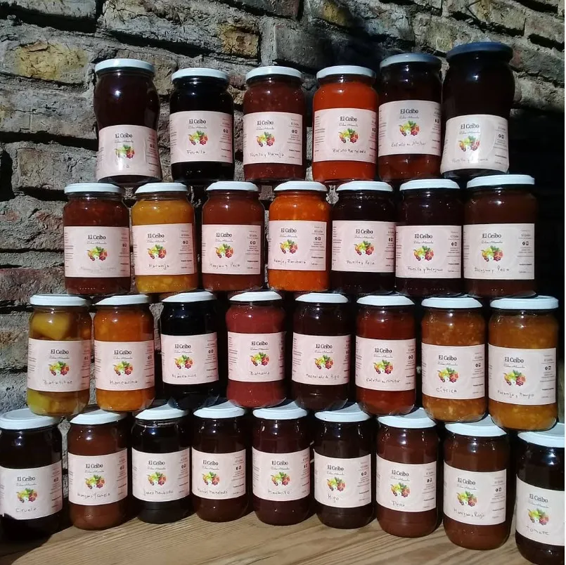 Dulce de arándanos y manzanas El Ceibo x 450 gr