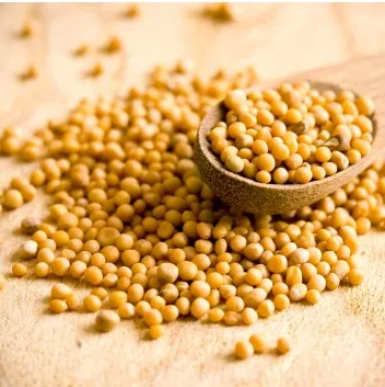 Mostaza en grano puro x 50 gr