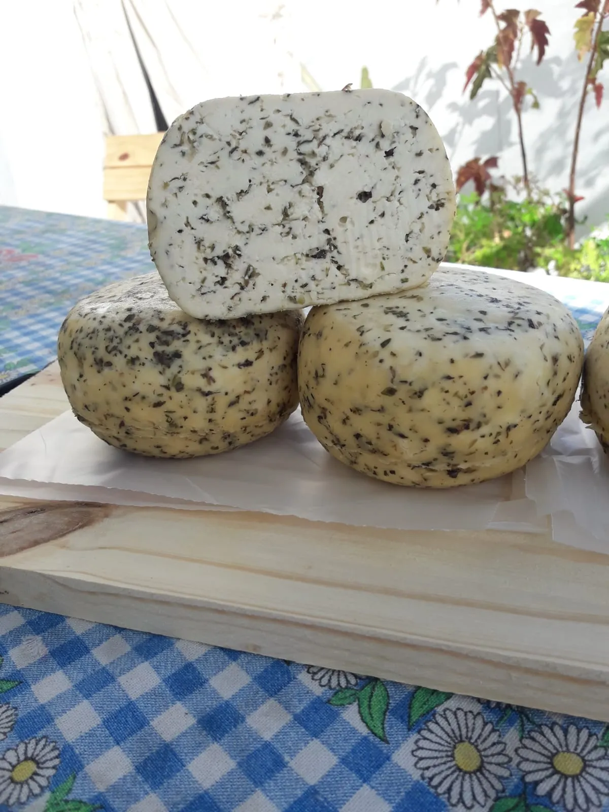 Hormita de queso con orégano LOS NONOS VIAJEROS 430/450 gr