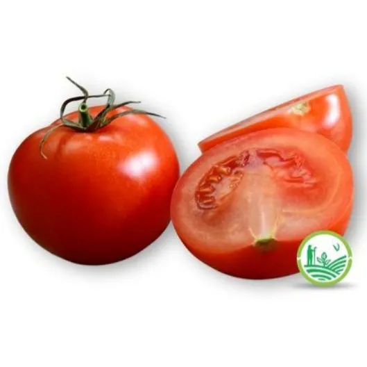Tomate redondo o perita agroecológico x 1 K