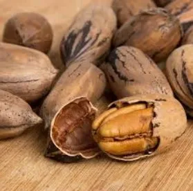 Nueces Pecán con cáscara agroecológica x 500 gr