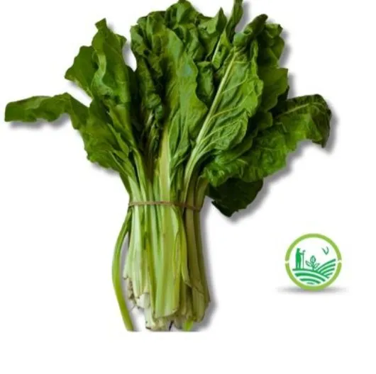 Acelga agroecológica x paquete