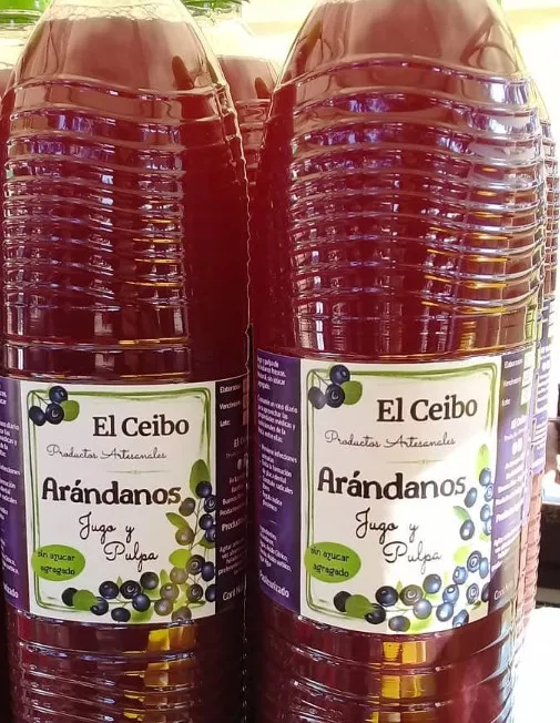 Jugo de arándanos El Ceibo x 1,5 L