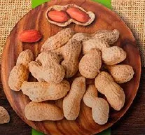 Maní tostado con cáscara 200 gr